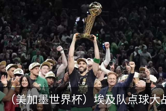 （美加墨世界杯）埃及队点球大战胜澳大利亚队 亚足联队伍全部出局